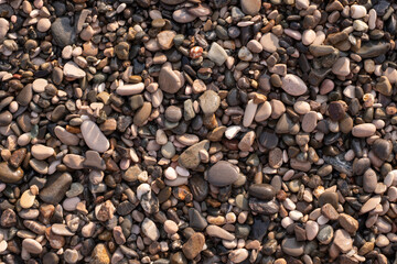Large sea pebbles on a sunny day.