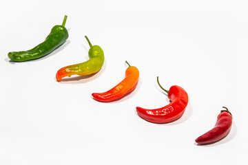 Multicolored hot chili peppers on a white isolated background