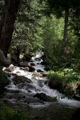 waterfall in Altai, stormy water flow, mountain waterfall, waterfall in the forest