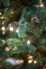 branches of a Christmas tree with cones and garlands
