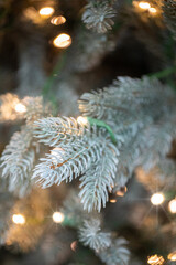 branches of a Christmas tree with garlands