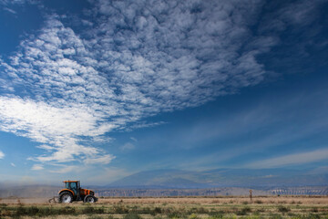 Fototapeta premium Tractor working in the harvest in a beautiful sunset.