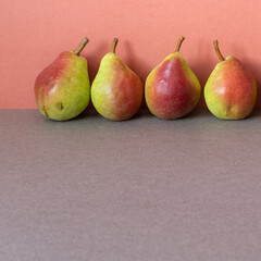 Still life ripe yellow red pears. Harvest natural organic fruits on a two-tone background. copy space for text.