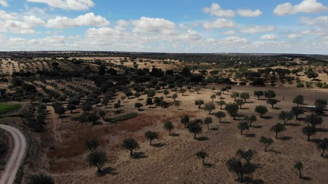 DRONE AERIAL FOOTAGE: View of a typical Alentejo dry landscape located in Portugal. Rural Alentejo landscape in Arronches, Portalegre.  