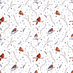 Seamless winter patterns with birds, feathers, stars, snowflakes and snowballs, twigs and branches, Christmas toys on the white background. Endless hand-painted ornaments for Christmas and New Year
