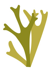 Obraz premium Two sprigs of Icelandic moss for a design, logo or icon