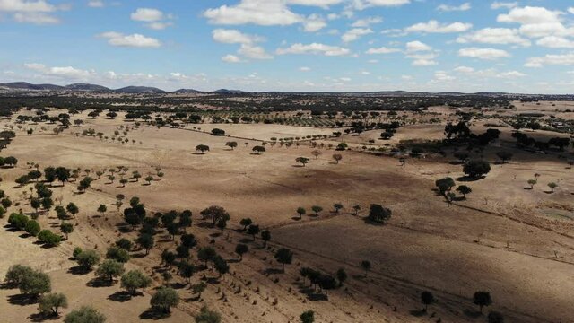 DRONE AERIAL FOOTAGE: View of a typical Alentejo dry landscape located in Portugal. Rural Alentejo landscape in Arronches, Portalegre.  