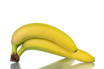 One yellow bunch of bananas, close-up, isolated on white.