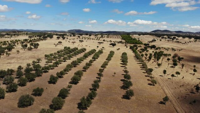 DRONE AERIAL FOOTAGE: View of a typical Alentejo dry landscape located in Portugal. Rural Alentejo landscape in Arronches, Portalegre.  