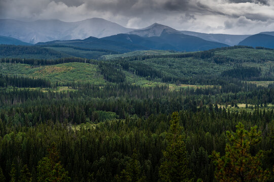 Several clear cuts where logging is taking place in Alberta near the Rocky Mountains in Canada