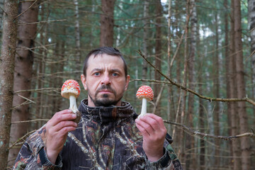 Fototapeta premium A man holds hallucinogenic amanita mushrooms in his hands.