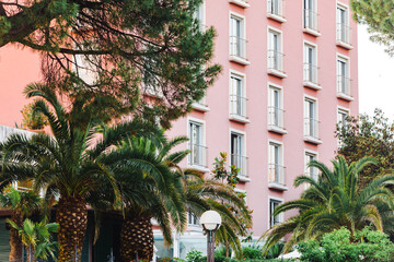 Fototapeta na wymiar palm trees around hotel resort