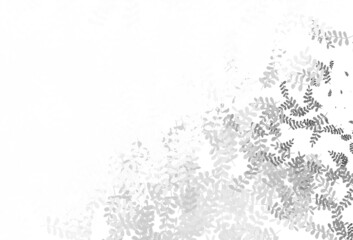Obraz premium Light Yellow vector doodle background with leaves.