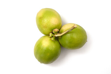 lemon fruit on a white background