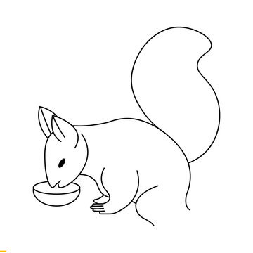 Squirrel Vector Art Graphics Template For Business And Company