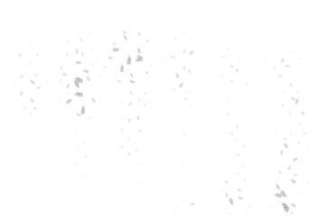 Light Gray vector natural backdrop with leaves.