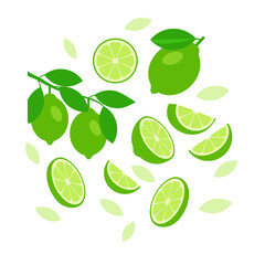 Lime elements abstract vector design background