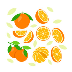 Orange fruit elements abstract vector design background for packaging design