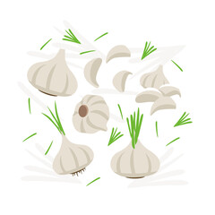 White Garlic elements abstract vector design background for packaging design