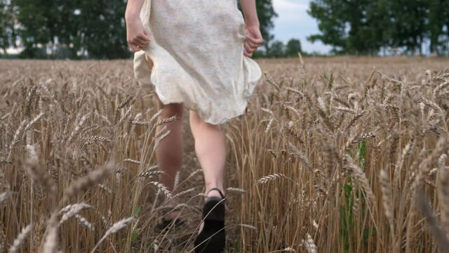 A beautiful young girl in a white long dress walks through a field