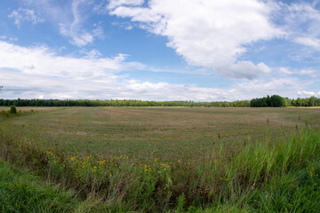 Fototapeta na wymiar Agriculture field in late summer