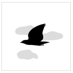 Black and white drawing illustration of flying craw on white background. Halloween, witchcraft, magic themed graphic. hand-drawn