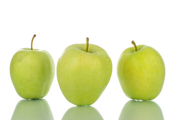 Three ripe green apples , close-up, isolated on white.