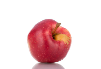 One ripe red apple, close-up, isolated on white.