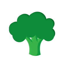 broccoli icon on a white background, vector illustration