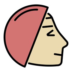 Hair dye icon. Outline hair dye vector icon color flat isolated