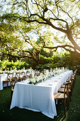 Beautiful tables set up in the garden Luxury wedding lunch table setting outdoors wedding ceremony in the woods among the trees Old tree on the Soft focus background 