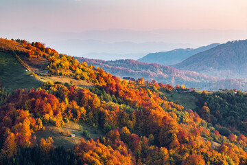 Autumn scenery of village. Orange, yellow fruit trees, green pine, fields, houses and high mountain...