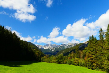 Fototapeta na wymiar Bergwiesen am Hochschwab