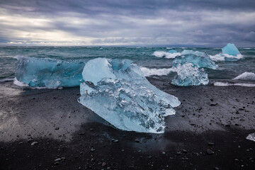 amazing blue colored icebergs washed ashore the black sand beach commonly named Diamond Beach  in Iceland.