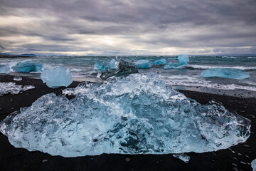 amazing blue colored icebergs washed ashore the black sand beach commonly named Diamond Beach  in Iceland.
