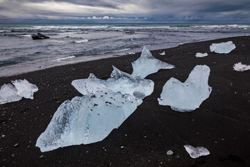 amazing blue colored icebergs washed ashore the black sand beach commonly named Diamond Beach  in Iceland.
