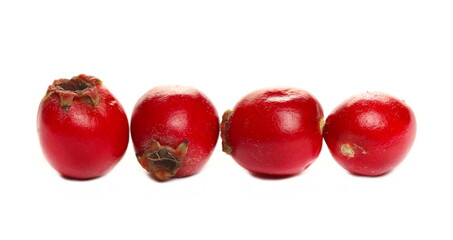 Obraz premium Macro Red fruit, (Crataegus monogyna) common hawthorn, oneseed hawthorn or single-seeded berries isolated on white background 