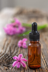 Obraz na płótnie Canvas Pink hyacinth essential oil bottle and flower on wooden background.