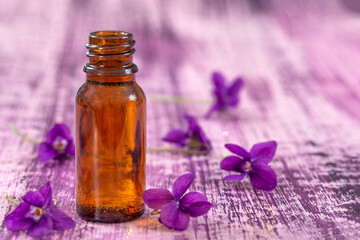 Fototapeta na wymiar Oil and flower of violets, zen stones on purple wooden background.