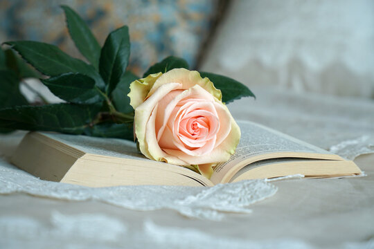 The book lies on the bed with a rose