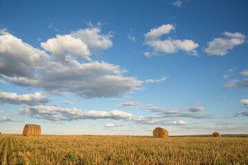 rolls of hay in the field against the background of a beautiful sky