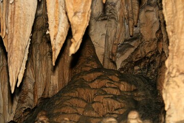 Caverna, parede de caverna. Parque Estadual Turístico do Alto Ribeira (Petar). Mata Atlântica brasileira. Brasil.