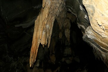 Caverna, parede de caverna. Parque Estadual Turístico do Alto Ribeira (Petar). Mata Atlântica brasileira. Brasil.