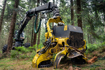 Maszyna do pozyskanie drewna w naturalnym środowisku.  - obrazy, fototapety, plakaty