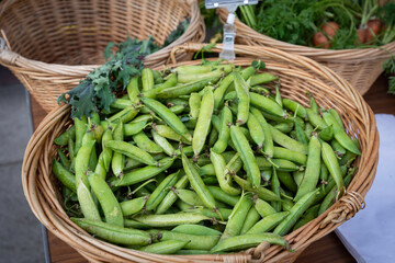 Basket of green beans