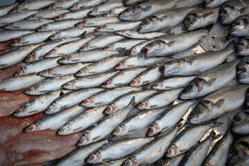 Fish at market