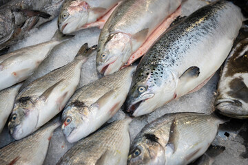 Fish at market