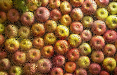 The background consists of apples that lie under a transparent glass covered with water drops. Flat design,copy space, selective focus, top view.
