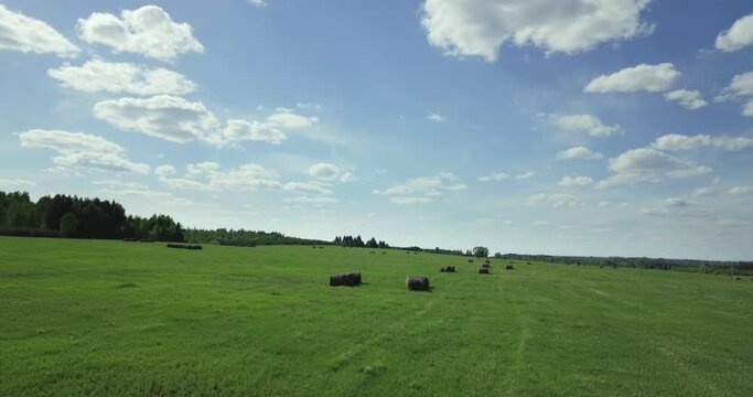 Rural Environment Green Grassland Scenery With Multiple Farming Hay Bales. Sunny Environment Scenery Of Farm Landscape. Flight Through Colorful Summer Field With Environmental Scenery