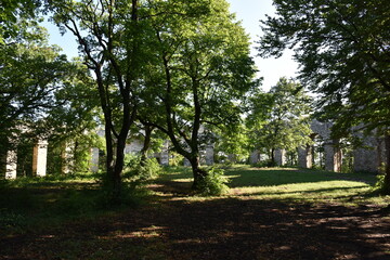 Amphitheater, künstliche Ruine, Maria Enzersdorf Österreich, 29.07.2021